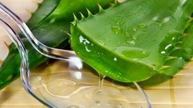 Aloe para aumentar la potencia de los hombres