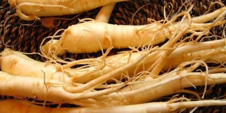 Raíz de ginseng para aumentar la potencia.